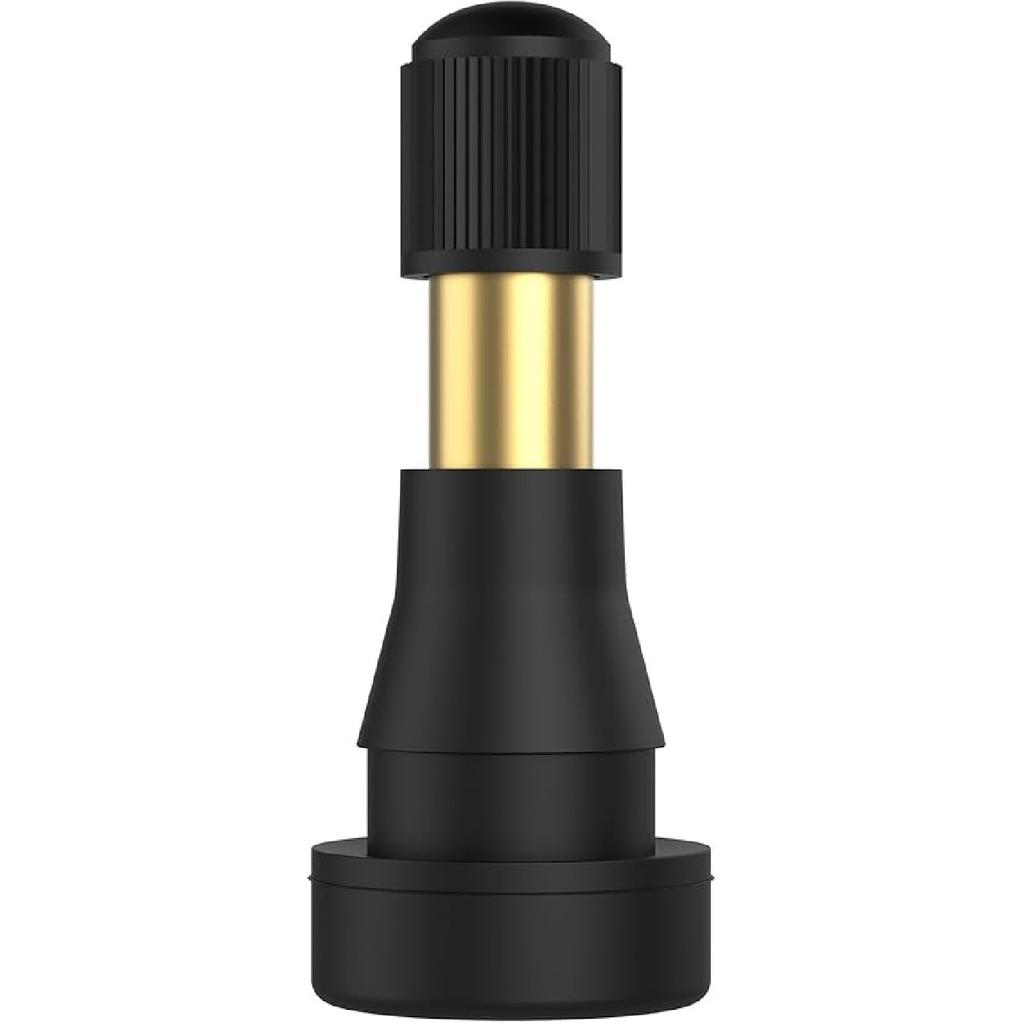 SUNSOUL TR555D 10Pcs 60 Degree Bend Truck Tire Valve Stems, Compatible With 22.5In 24.5In Aluminum Wheels With 9.7Mm Valve Holes