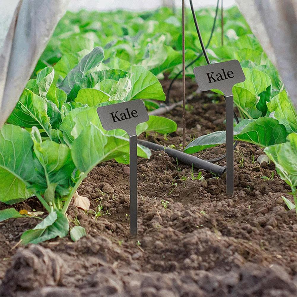 10PCS Metal Plant Labels Weatherproof Garden Stake Tags Planting Gardening Markers for Vegetables Flower Seed Greenhouse