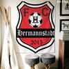 FC Hermannstadt Wall Hanging Printed Fabric Blanket Decorative Tapestries for Bedroom Living Room Home Decor