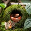 Moisturizing Reptiles Hideaway Cave Grass Woven Moss Shelter Rest Cave for Snake Lizards Terrariums Decoration