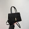 Women's Bag 2025 New Fashion Handbag Messenger Small Square Bag