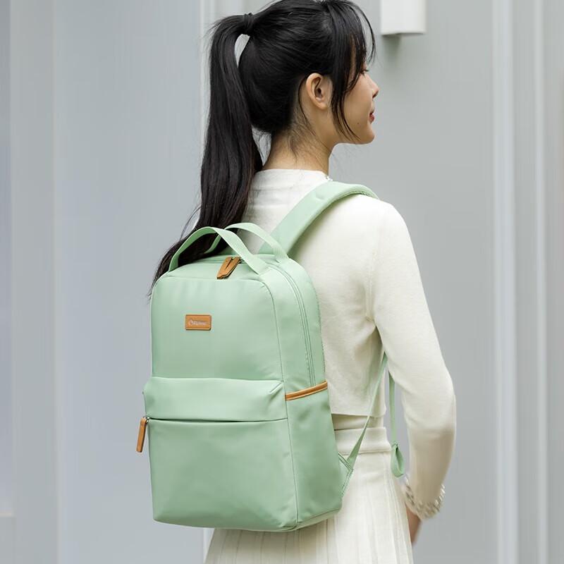 Diplomat DS-14109L Travel Laptop Backpack