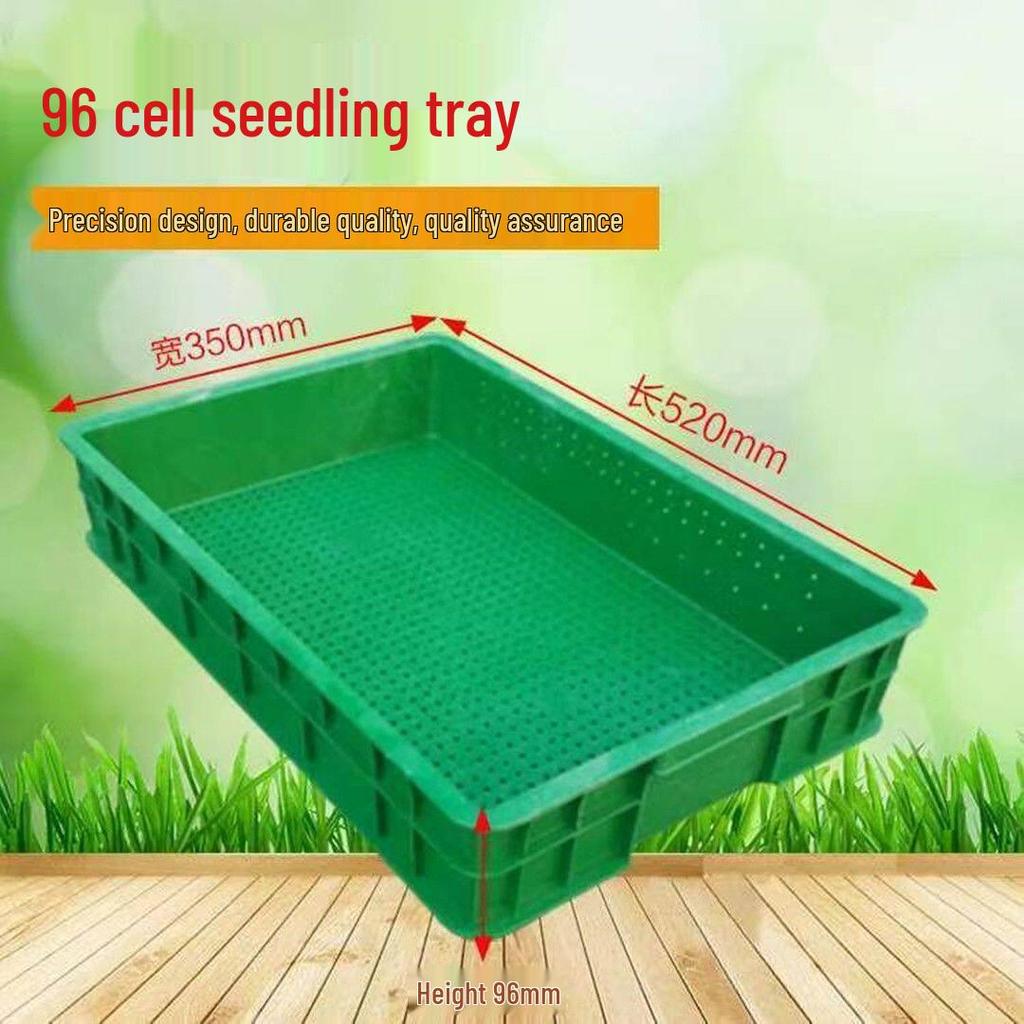 Large Commercial Seedling Tray for Bean Sprouts and Vegetables