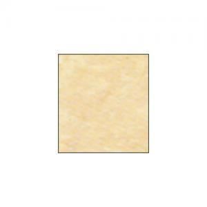 Sennelier Pastel Gamboge 372