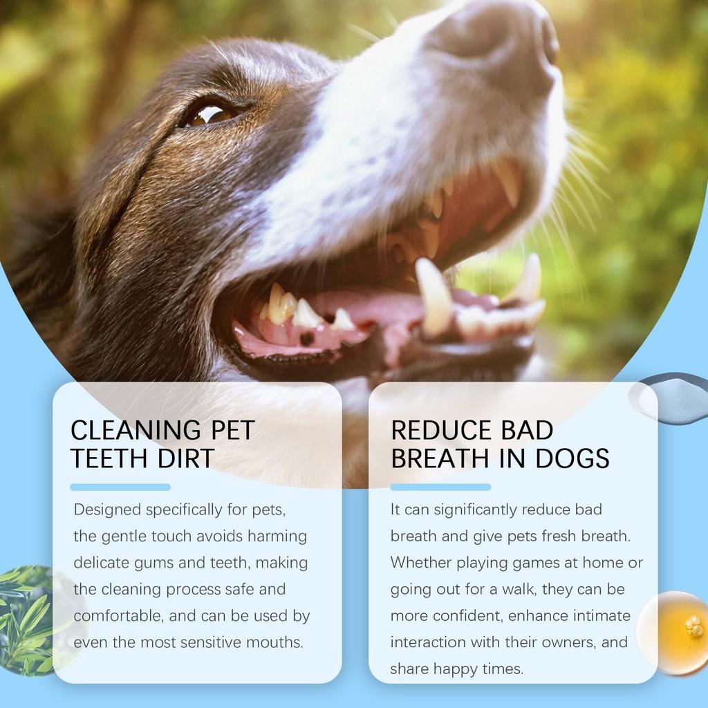 Pet Teeth Cleaning Care Brush To Clean And Remove Tartar And Plaque 3ml