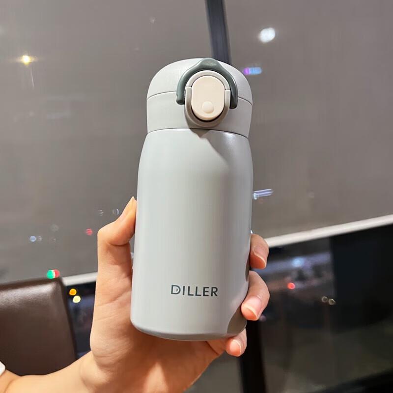 Diller 320ml Stainless Steel Insulated Water Bottle