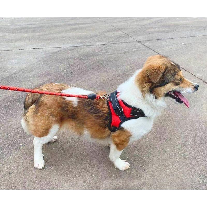 Mocna uprząż dla psa bez ciągnięcia, kamizelka uprząż dla psów, małe, średnie, duże psy, akcesoria dla zwierząt, Corgi, Chihuahua, pies pasterski, artykuły dla psów
