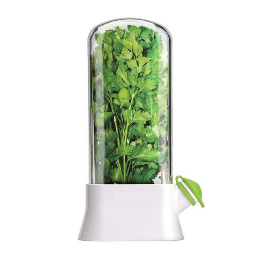 Refrigerator Herb Storage Box Upright Cilantro Storage Container Parsley Preservation Box Keeps