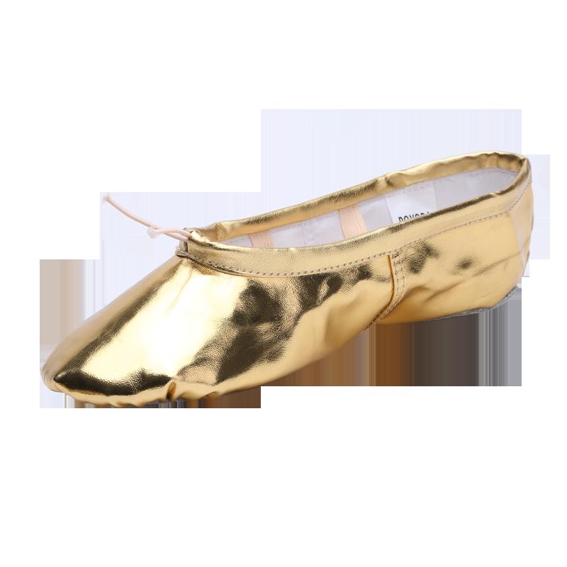Women's Soft Sole Ballet & Dance Shoes - Gold/Silver, Cat Paw Design