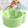Cartoon Animal Shape Food Water Feeding Bowls Ceramic Bowl for Small Animals Pet Feeding SuppliesFrog