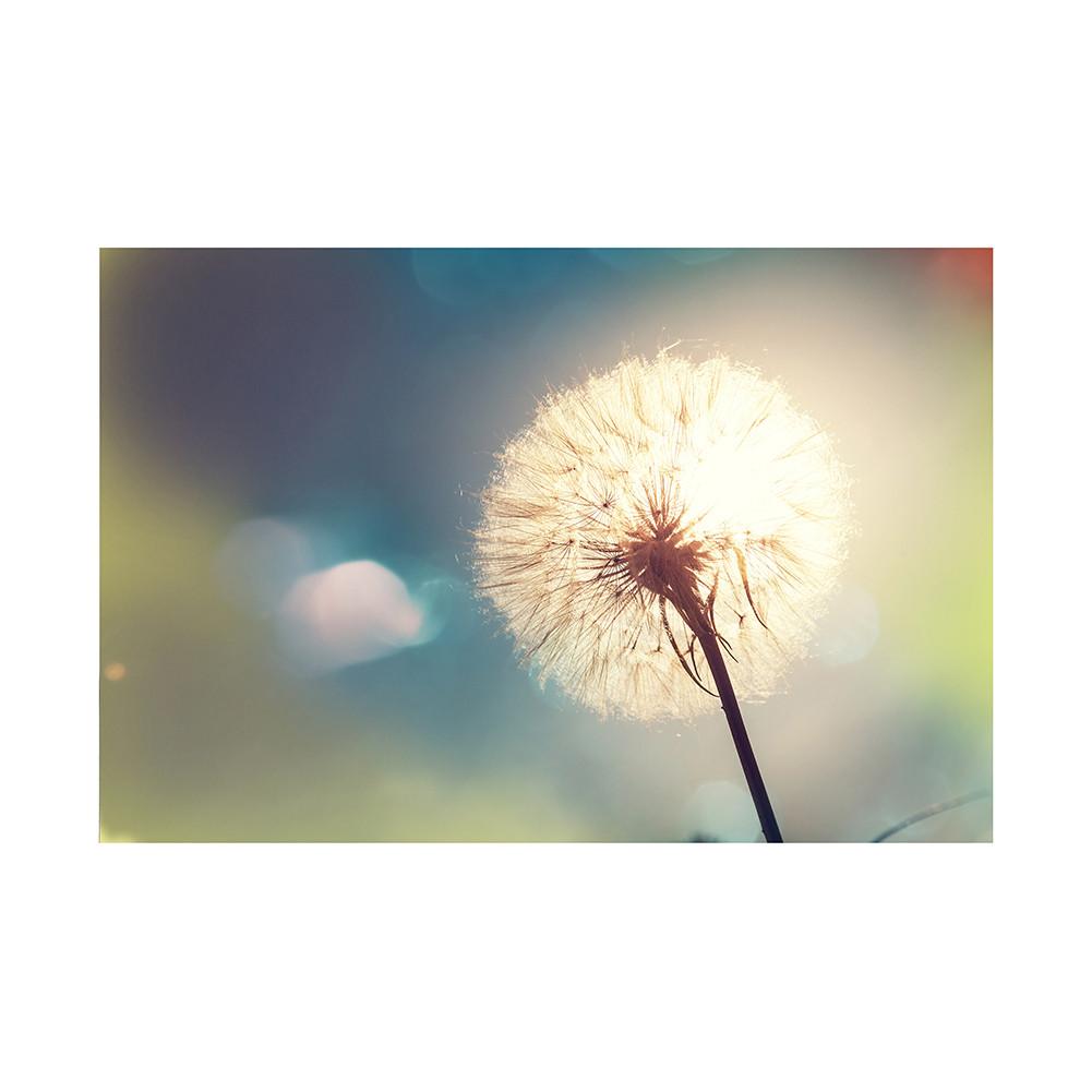 Romantic Dandelion Background Tapestry for Events,Party Banner,Home Decor,Weddings,Photo Booths