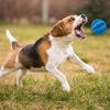 Rubber Dog Chew Toy Ball Multiple Colors Round Dog Rubber Toy Big Sizes Hollow Leak Hole Dog Food Dispensing Ball Teeth Grinding