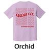 Vintage Dark Academia Bookish Literary Shirt Abolish Ice No Human Is Illegal 2 Sided Comfort Shirt Social Unisex Top Streetwear