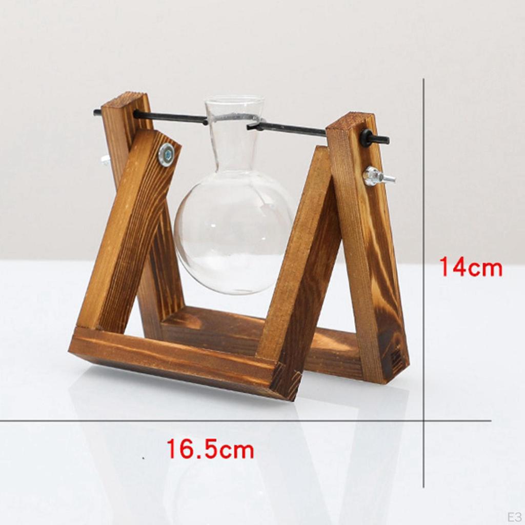 er Bulb Terrarium Vase for Home Decor