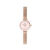 Watch Quartz Movement Stainless Steel Strap 19MM Pink Dial Women's Watch Peach Pink Round Candy DW00100743