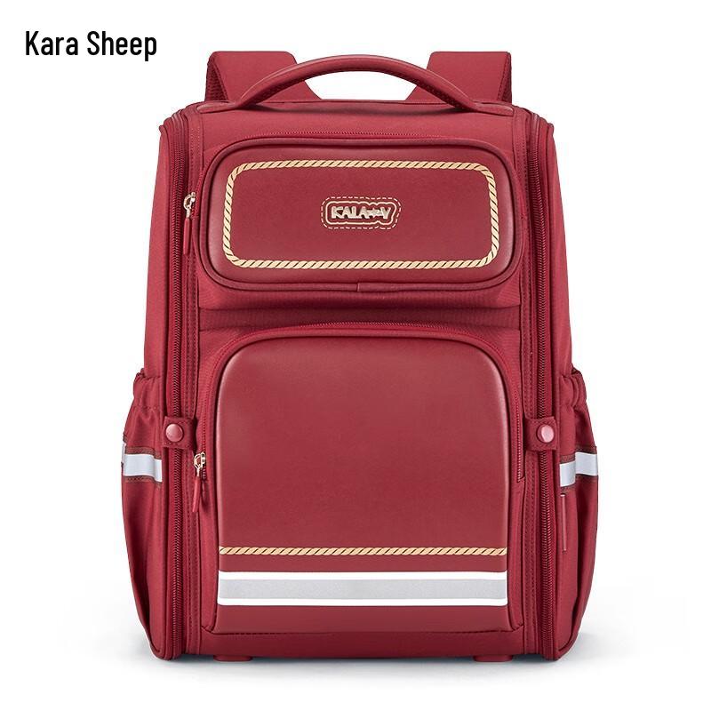 CARANY Ergonomic School Backpack