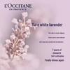 L'Occitane White Lavender Scented Body Lotion