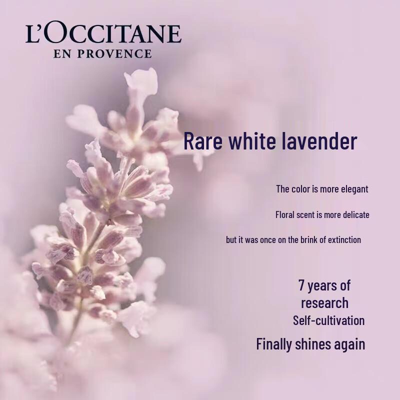 L'Occitane White Lavender Scented Body Lotion