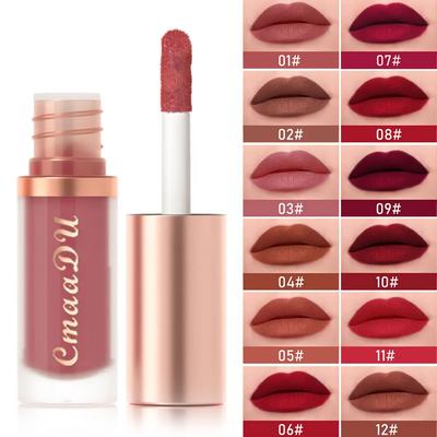 12Color Long-Lasting Lip Sense Color Makeup Waterproof  Lipsticks Matte Velvet Lip Gloss