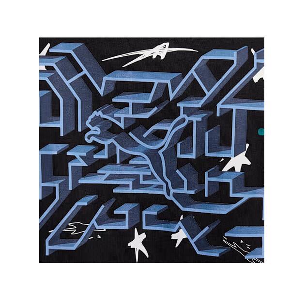 Футболка Puma 630706