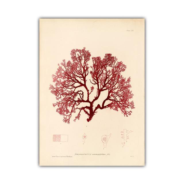 

Скандинавское ретро искусство эволюция растений научно-популярная демонстрация холст картина гостиная коридор постер украшение дома фреска без рамки 21*30cm No Frame