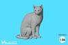Passion Models Scale Resin Kit Set of 5 Cats for Cat Lovers 1/24 (P35T-025) - (Animals)