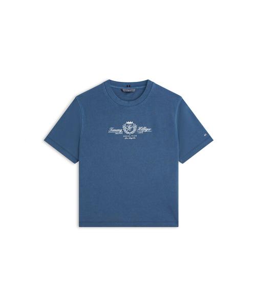 TOMMY HILFIGER Varsity Logo Embroidered T-Shirt (T22G1Tto061Wt1C1G)