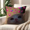 Funny Cat Memes cushion cover For Pillow Printing Sofa Decoration Home Car Room Coffee Shop Office Nordic Simplicity