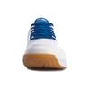 Li Ning Racetrack Encounter Badminton Shoes Unisex Low Top White Blue AYTQ035-1