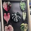 Plants Leaves Fridge Magnet Pink Princess Plant Refrigerator Sticker Acrylic Simulation Leaf Magnet Sticker Home Kitchen Decor
