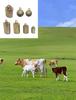 Bauernhof Kupferglocke für Haustier Hundehalsband Anti-Verlust Halskette Bronze Klingelglocken für Kuh Schaf Pferde Geflügel Tier Welpen Zubehör