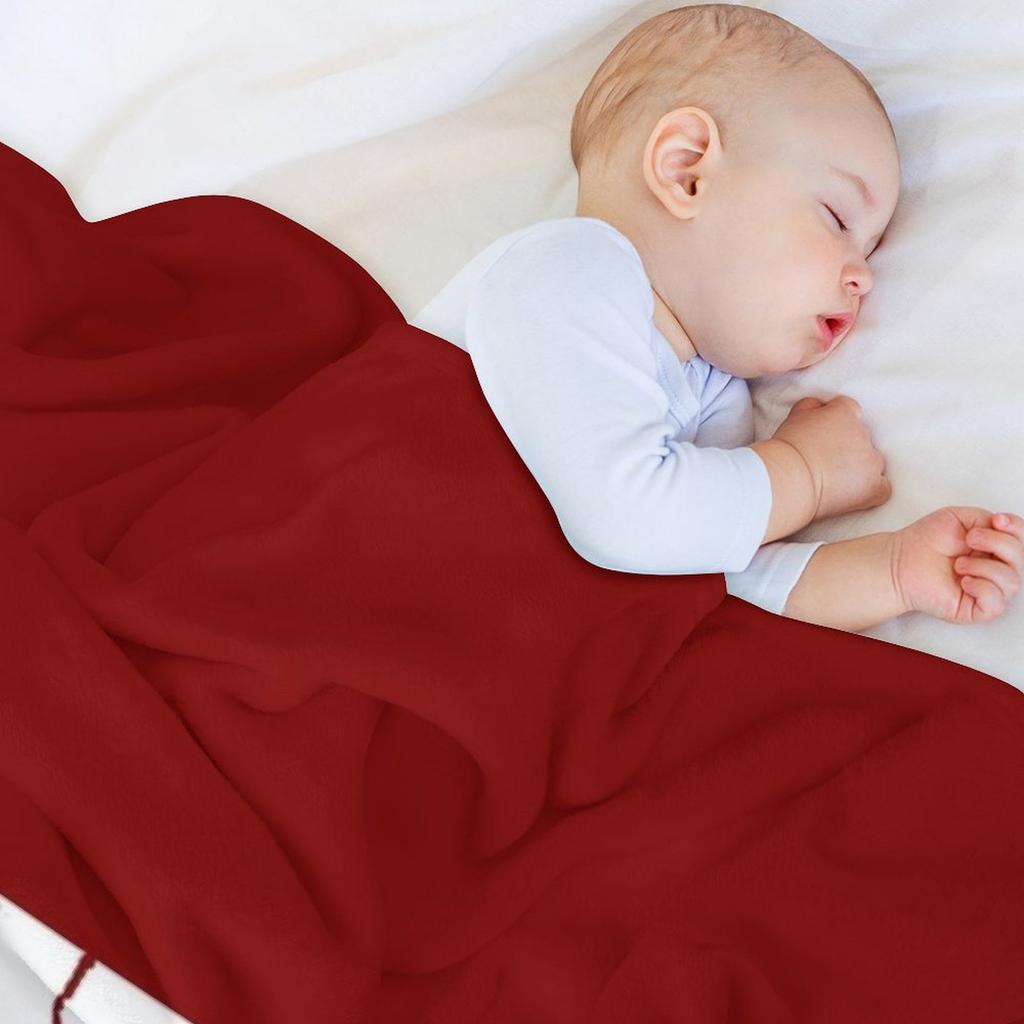 TR-6 Premium Throw Blanket christmas gifts Travel Bed Fashionable Quilt Blankets