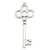 Key Charms Multi Color Alloy Key Tools Pendants For Gothic Themed Jewelry