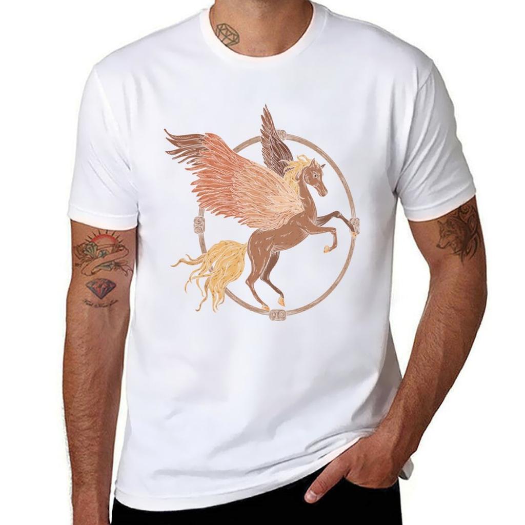 Flying Pegaasus In A Wooden Frame Tshirt Work Style Casual Tshirt