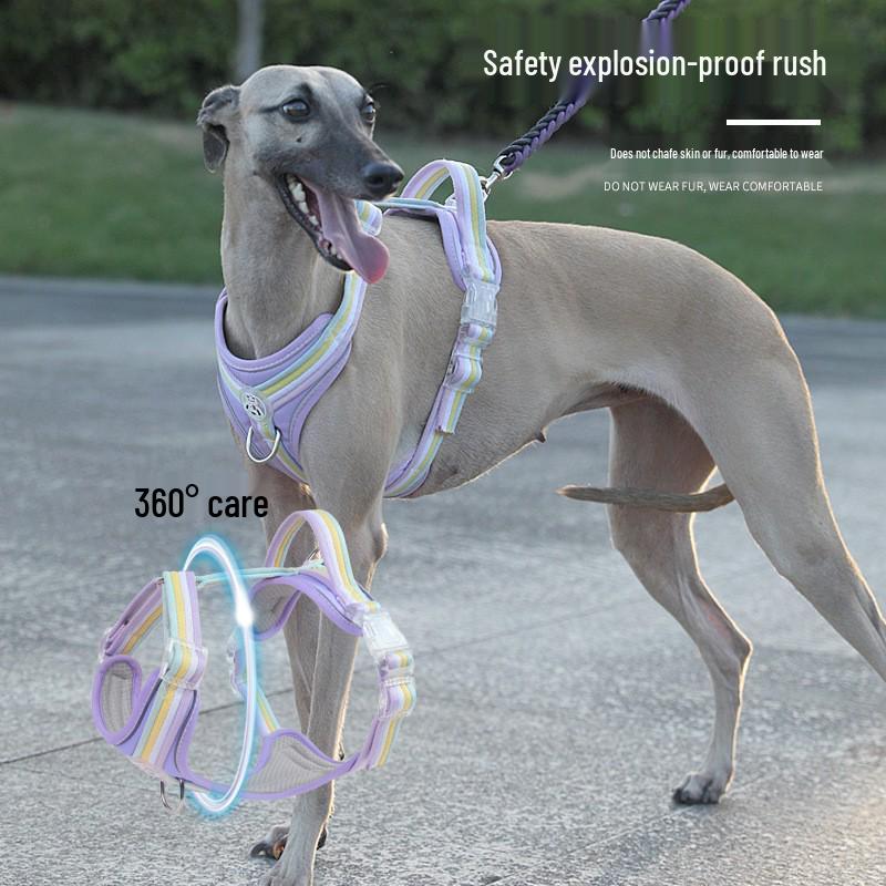 New 2024 No-Pull Dog Walking Harness & Leash Set - Vest Style