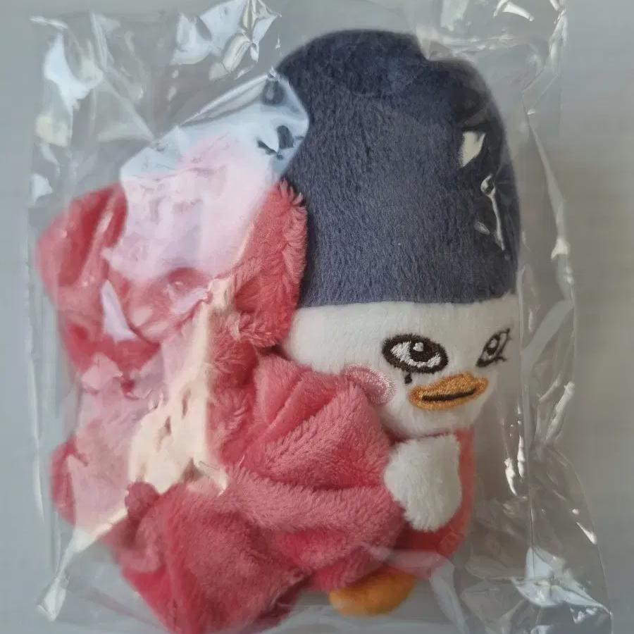 

Unopened Torbyeol Scrunch Riize Sohee Headband