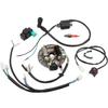 1 Set Ignition Stator Useful High Density Efficient Wiring Harness Ignition