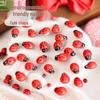 Handmade Cartoon Ladybug Hair Clips & Wooden Beetle Magnets