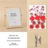 Nordic Creative DIY 3D Dried Flower Frame Kit - Simple Metal & Glass with Glue