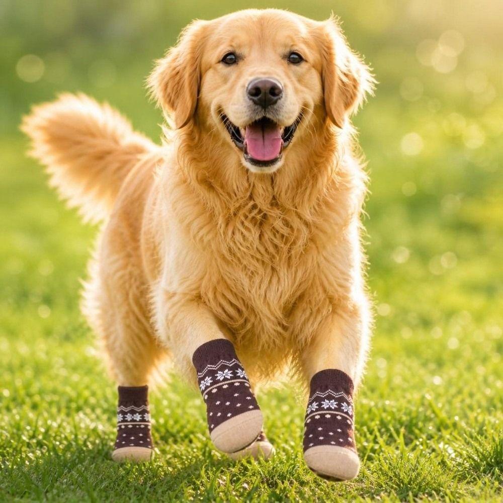 1 Set Breathable Puppy Sock Anti Slip Pet Sock Durable Dog Sock  Summer Wear