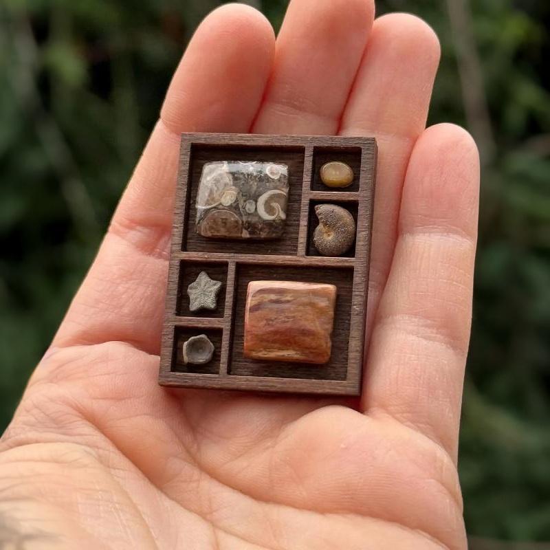 Wooden Mini Jewelry Tray 1 PCS Multi Compartments Ring Earring Trinket Organizer for Bedroom Vanity Dollhouse Decor