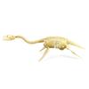 7Pcs/Set  Dinosaur Model Creative Collectible Detailed Archeological Dinosaur Skeleton Toy for Child