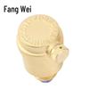 Fangwei ZP88-16T Messing Automatische Entlüftungsventil