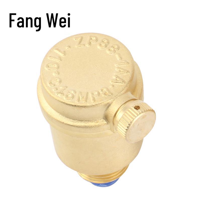 Fangwei ZP88-16T Messing Automatische Entlüftungsventil