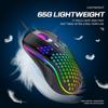 Ergonomic RGB Wired Lightweight Gaming Mouse with Hollow Design