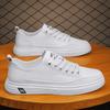 Men's Shoes Spring New Low-top Board Shoes Men's Trend Versatile Thick-soled Wear-resistant Sports and Leisure Trendy Shoes