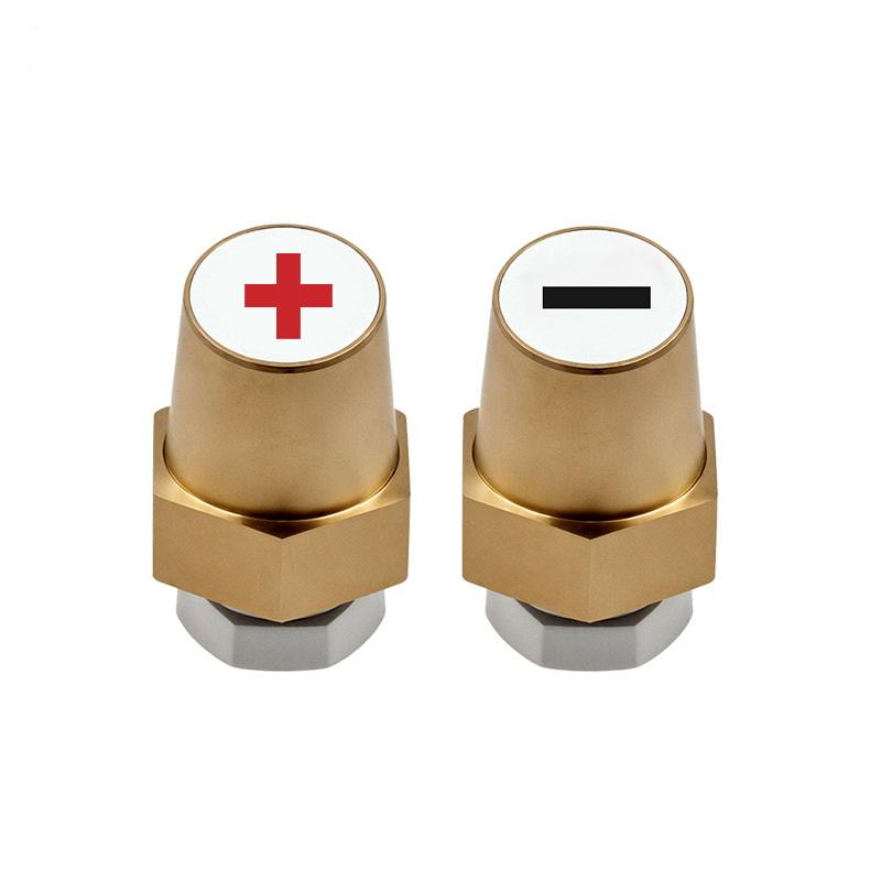 2 Pièces Chargeur de Borne de Batterie Vis Accessoires Laiton Connecteurs de Borne Hexagonale Pour Borne Positive et Négative de Batterie de Voiture