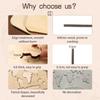 Kid Montessori Wooden Toy World Seven Continents Puzzle for Baby Early Education Geography Cognition Toys Children's Gifts