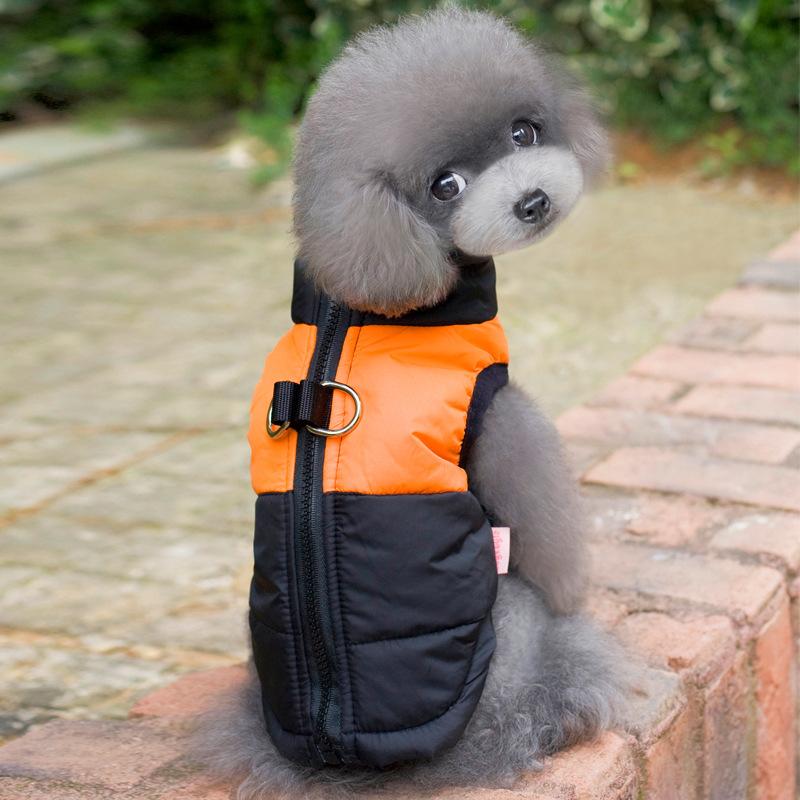 Cotton-padded vest, cotton vest, ski wear, pet vest with its own traction buckle, teddy zipper, dog warm cotton-padded coat.