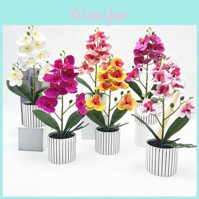 Phalaenopsis Aphrodite Rchb Artificial Plant For Wedding Home Decor And Photography